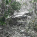 Drunk driving, excess passengers blamed for bolero accident