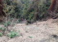 Accident in Tsirang kills 2