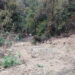 Accident in Tsirang kills 2