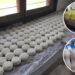 Dairy farmers in Tsirang milking fortune