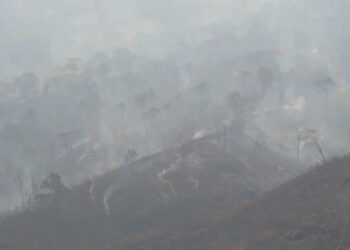 Forest fire in Athang Gewog contained