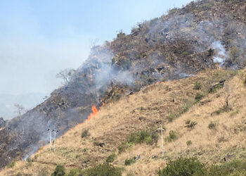 Forest fire in Trashi Yangtse
