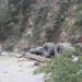 Man dies in truck accident in Kamji