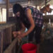 Serthig’s lone poultry farmer prospers