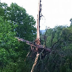 1 killed by lightning strike in Lhuentse