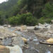 Bridge construction at Naysi Zampa in Wangdue nears completion