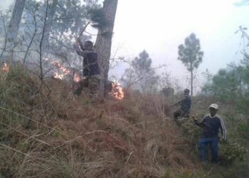 Jarey forest fire burns 200-acre of forest