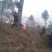Jarey forest fire burns 200-acre of forest