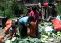 Market at doorstep for a farmer in Trashigang