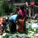 Market at doorstep for a farmer in Trashigang