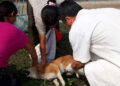 People of Tashichhoeling Dungkhag vaccinated following rabies outbreak