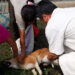People of Tashichhoeling Dungkhag vaccinated following rabies outbreak