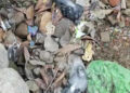 Pigeon deaths spark bird flu fear in Samtse