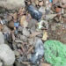 Pigeon deaths spark bird flu fear in Samtse