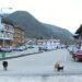 Stray dog menace growing in Haa