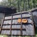 Windstorm knocks roofs off 13 houses in Samdrup Jongkhar