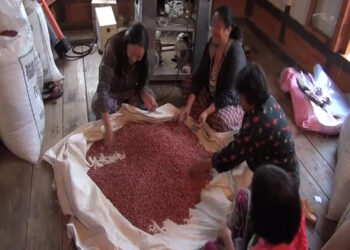 Women’s group hopes selling pulses to be profitable affair