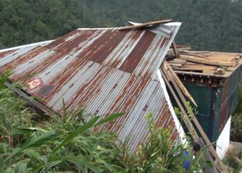 Windstorm rattles Darla Gewog, damages crops and properties