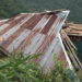 Windstorm rattles Darla Gewog, damages crops and properties