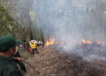 Forest fire in Monggar contained