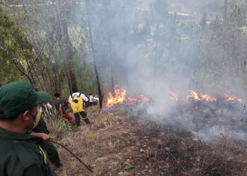 Forest fire in Monggar contained