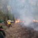 Forest fire in Monggar contained