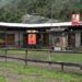 Schools in Lunana almost empty during cordyceps season