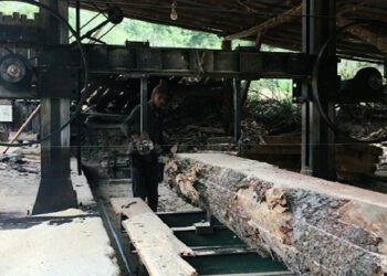 Haa sawmills give back to nature