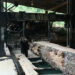 Haa sawmills give back to nature