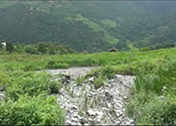 Wastewater MHPA tunnel affects paddy yield in Changrey