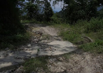 Nautale farm road in Lhamoidzingkha in poor shape