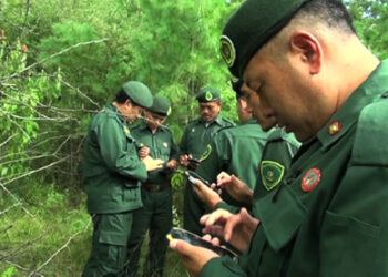 SMART patrolling to curb poaching and illegal timber logging, trade in Paro