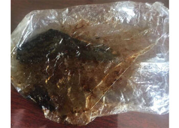 Men caught with bear bile and sandalwood in separate incidents