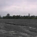 Floods threaten to wipe out paddy fields in Gelegphu