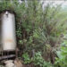 Lemongrass oil extraction becomes a thing of the past in Bartsham