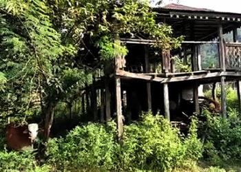 Concerns mount over Gungtongs in Dagana’s Nichula gewog