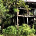 Concerns mount over Gungtongs in Dagana’s Nichula gewog