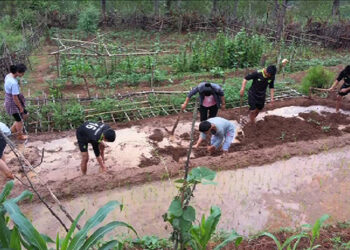 Agriculture and food security subject to be regularised in schools