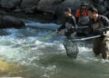 Bhutan to soon have data on fish species