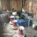 Baepam farmers continue native chicken farming