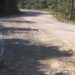 Nganglam-Panbang highway in need of repair