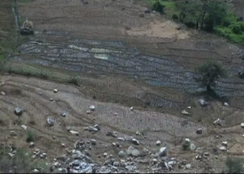 Farm road construction in Jamkhar affects paddy fields