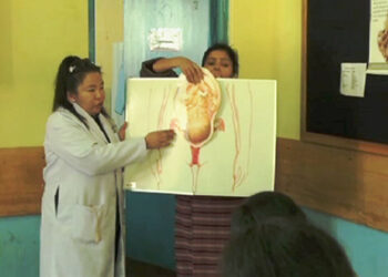 November observed as world cervical cancer prevention month