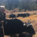 Yak rearing on decline in Haa Uesu
