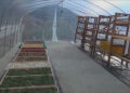 Greenhouse solar dryer-new method to dry agricultural products