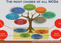 Reducing deaths from NCDs through cross-sectoral approach