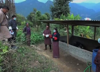 Reviewing the PSL scheme in Tsirang