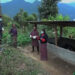 Reviewing the PSL scheme in Tsirang