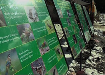 Plant, animal species signage on Taktsang trail