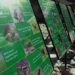 Plant, animal species signage on Taktsang trail
